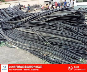 新疆铜电缆回收报价 信息推荐 利新电缆回收